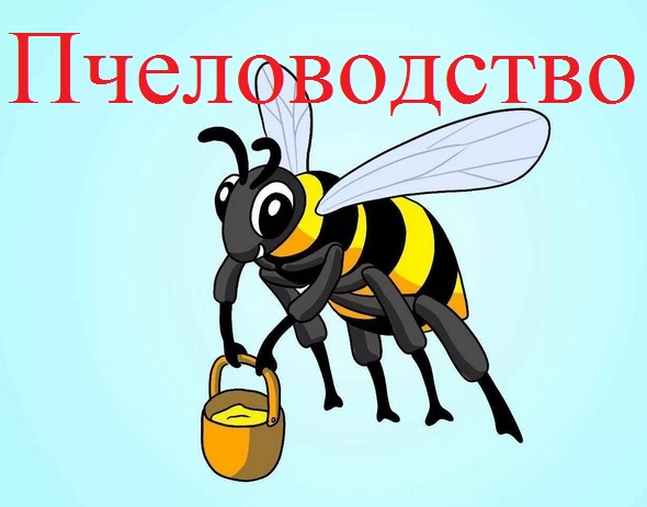 код телефона советского района курской области